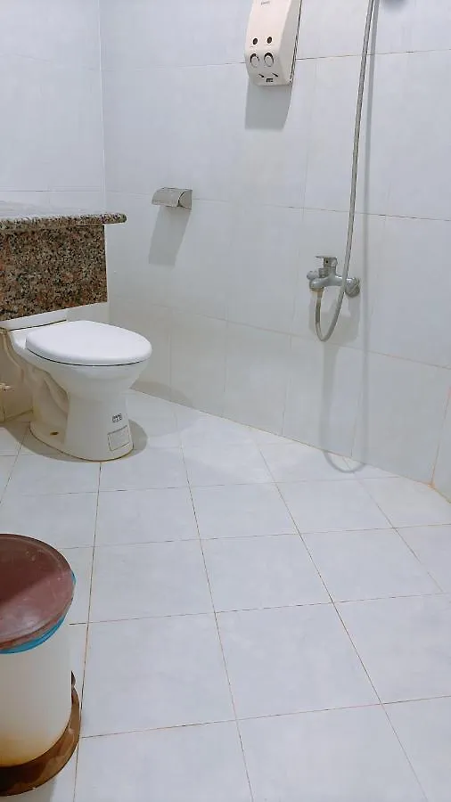 Romance Hotel Βουνγκ Τάου 0*,